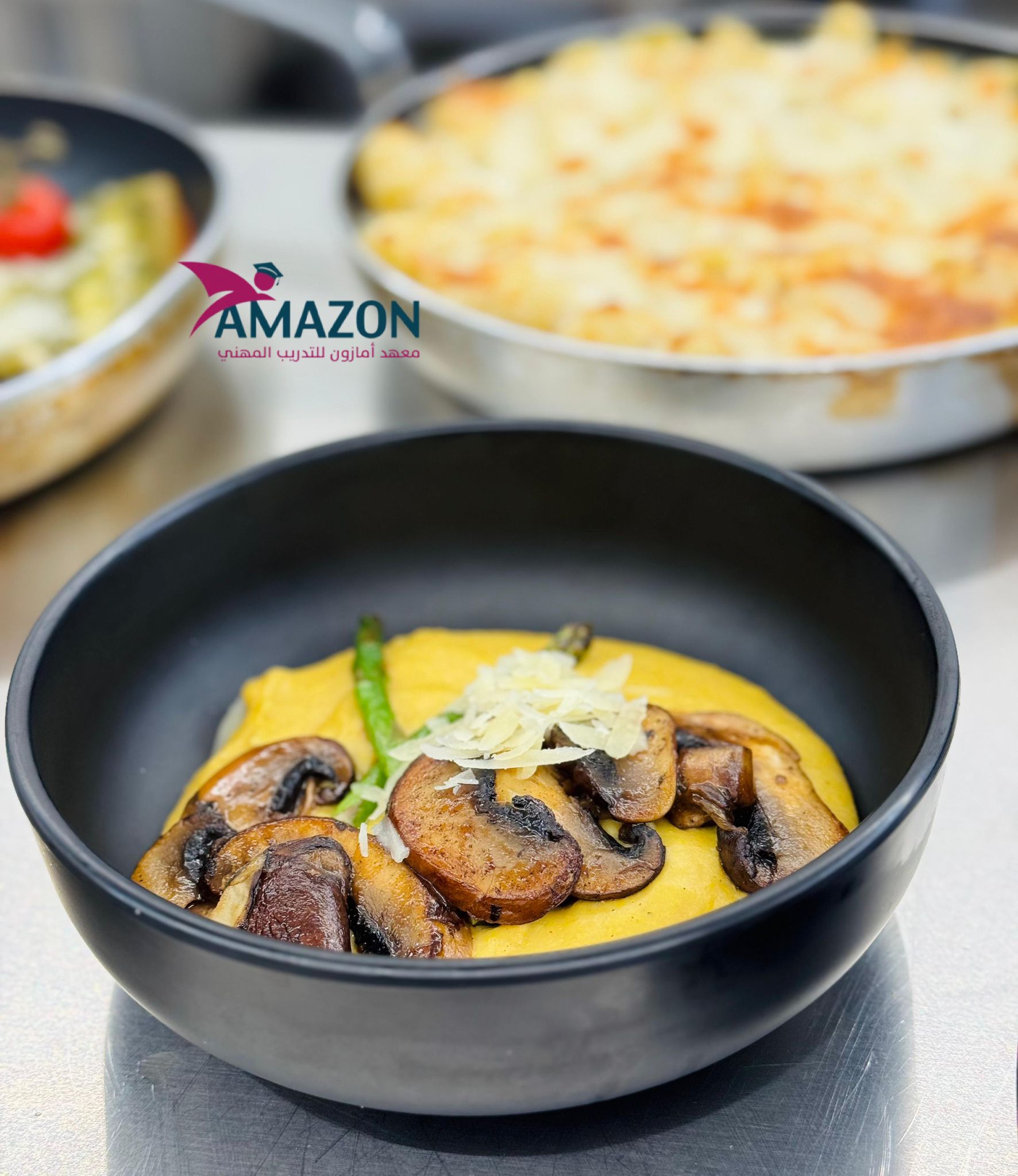 تخصص الشيف